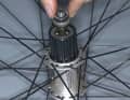 Step 3: Insert the bearing cone

Sort the balls of the outer bearing into their bearing seat. Use grease sparingly here too. Insert the outer bearing cone and tighten it (special tool for Shimano with the designation "TL-FW40"). Insert the dust cap after the cone. 