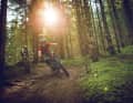 Trails such as the Family Trail offer bikers a great playground.