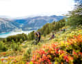 Three-country enduro over Lake Reschen. You can take four lifts uphill.