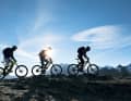 "Gipfel-Biken" im Vinschgau. Um in diese Höhen zu gelangen, muss man das Bike auch mal tragen.