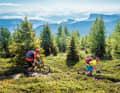 Take the cable car from Rabland up to the Vigiljoch and on to the Rauhen Bühel: this dream trail into the Ultental Valley starts here.