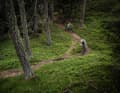 Ultental Valley: Rauher Bühel Supertrail - Impressions