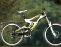 Scott Gambler setzt weiterhin voll auf Downhill.

Am Gambler-Fahrwerk tut sich für die neue Saison nichts Neues. Es zielt kompromisslos auf Downhill, die fette Fox-40-Doppelbrückengabel (200 mm) verdeutlicht das auf den ersten Blick. Drei Modelle stehen bereit, das abgebildete Gambler 10 ist die Replicades DH-Rennteams.