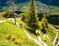 Tannheimer Tal: Das Hochtal gehört noch zu den Allgäuer Alpen, liegt aber schon jenseits der Grenze nach Tirol. Das bedeutet: Ein offizielles Befahren der Trails ist leider verboten. Schade mal wieder, denn wie man sieht, haben die Tann­heimer Trail-Kurven das Zeug zum Kultstatus.