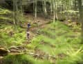 The Palatinate makes you fast: no wonder Karl Platt is one of the best riding technicians. He trains in the single trail paradise.