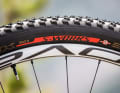 The Fast Trak tyre as an S-Works version in the "Gold Medal Edition".