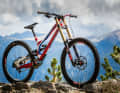 The Specialized Demo in Stars and Stripes look by Aaron Gwin.
