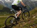CANNONDALE SCALPEL CARBON 29ER

 Aus der minimalistischen Race-Rakete wird durch die großen Räder ein sportlicher Tourer mit größerem Einsatzbereich.