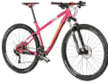 Drössiger HTA 29 3: In Barbie-pink kommt das Testbike von Drössiger daher: das HTA 29 3. 1399 Euro kostet das Alu-Hardtail beim deutschen Customizing-Experten.