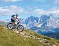 Val d'Ega - between Catinaccio and Latemar