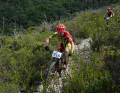 Always full throttle: the sporting standard in the South African marathon scene is astonishingly high. Riders always ride with a tight chain. Nevertheless, the competition is extremely fair and relaxed.