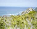 Good view: sweating with a sea view. The Garden Route is not one of the biggest tourist magnets in Africa for nothing. However, bikers should keep an eye on the road. It is often bumpy and barely wider than the handlebars.