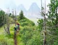 Seek and ye shall find: There are plenty of single trails in the Val di Fiemme and Val di Fassa valleys. However, you need good riding technique to enjoy them.