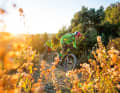 Cross-country world champion Nino Schurter knows why he has converted a "Rustico" into a holiday home right here. The freeride trail, partly built, partly natural and always incredibly flowing, starts right on his doorstep.