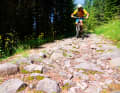 Ancient Roman road, military road? The fact is that the Val di Fiemme was on an important trade route for centuries.