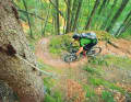 Optical illusion: the path from the border triangle down to Ratece is steeper than it appears in this picture.