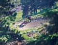 Flowtrails für Mountainbiker in Europa