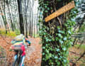 Biker-Paradies: Klausmann hat zwar direkt hinter seinem Haus einen Pumptrack, aber wenn es länger und anspruchsvoller sein soll, düst er nach Freiburg. Dort warten die Klassiker Borderline- und Kanada-Trail.