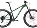 The top model Big Honzo DL with Sram GX, Rock Shox Yari, WTB tubeless rims, Schwalbe Evolution tyres. Around 2500 euros.
