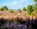 Mountainbike-Reise mit Kind durch die Lüneburger Heide – durchs lila Blütenmeer