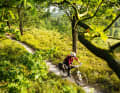 The lonely expanse is so close: the Lüneburg

 Heath surprises the young bike family from Poland

 with fine trail terrain.