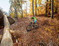 Approach Start in the basic position and with sufficient speed. Bend your legs and arms before the jump.