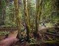 Northshore in Canada: Epic mountain bike trails