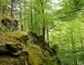 Mountainbike-Tour in Deutschland: Thüringer Wald