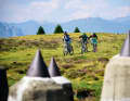 The classic motif: the anti-tank barriers on the Plamort plain (tour 2). The super view over Lake Reschen and then back down into the valley on a tricky trail.