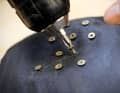 Insert the screws: Commercially available Spax screws can be used as spikes.