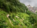 Executioner: The notorious serpentine road up to the Salzberg floods your legs with lactate. The riders already have more than 150 kilometres in their legs. Many are pushing.