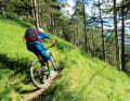 The reward after the 30 per cent ramp towards the Esterbergalm: the Hüttlsteig on the Wank.