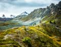 Valais: At the Aletsch Glacier - The view of the largest glacier in the Alps takes your breath away, but the other trails through its thawed side valleys are also a great experience. Like the Bettmer Alp here.