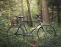 Das Ur-Stumpjumper von 1981: 750 Dollar kostete das 13,2 Kilo schwere Stahl-Starrbike damals.