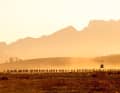 These pictures are another reason why the Cape Epic is considered the Tour de France of mountain biking