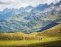 The Grimsel, Nufenen, Gotthard and Susten passes are easy to reach by postbus, but there is still a lot to do on the descents.