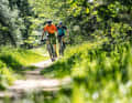 There is no hard enduro action in Perlacher Forst, but there are numerous beautiful, albeit flat, trails.