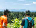 From the Perlacher Mugl you can see as far as the Alps.