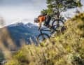Bikes wie das Mondraker Foxy R schaffen einen fließenden Übergang in die Enduro-Kategorie. Hier bleiben bergab bestimmt keine Wünsche offen.