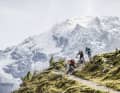 All Mountains sind weder Enduro noch Trailbike. Nichts Halbes und nichts Ganzes, sagen die einen. Von Alleskönnern schwärmen die anderen. Was können die Bikes um 3000 Euro wirklich? Und wie hat sich ihr Charakter in den letzten Jahren gewandelt?