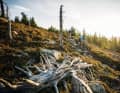 Eine Kulisse wie in Kanada – die Natur-Trails im Grenzgebiet sind unberührt und menschenleer.
