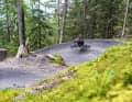 Perfectly built - ex-snowboard pro Adrian Kreiner is in his element on the steep turns.