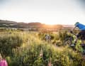 Bikepark Willingen und Trailground Brilon an einem Tag: Die beiden Highlights im Sauerland lassen sich in einer 60-Kilometer-Runde verbinden.