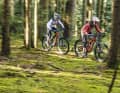 Mit dem 17-Kilo-Trailbike Levo SL hat Specialized vor einem Jahr einen Trend losgetreten. Jetzt drängen immer mehr E-Bikes mit Idealgewicht auf den Markt. Die einen feiern sie als durchtrainierte Sportversionen dicker Powerbikes. Andere sehen in ihnen saftlose Mager-Models. Die Wahrheit liegt – wie so oft – irgendwo dazwischen.