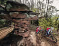 The Palatinate Forest is so large, its trail network so extensive, that you can easily spend days on it.