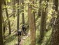 Die 2-Meter-Regel in Baden-Württemberg macht die Routenwahl nicht einfach. Ständig stellt sich die Frage: Ist der Weg zwei Meter breit? Und wo wird eigentlich gemessen? Von Baum zu Baum? Oder von äußerstem Kieselstein zu äußerstem Kieselstein? Mit Maßband fährt jedenfalls niemand der örtlichen Bike-Szene.
