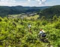 Farnverkehr à la Baiersbronn – die Singletrails rund um das Feinschmeckerdorf sind lecker. Und leicht verdaulich.