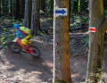 The Sasbachwalden trails lead bikers into the little half-timbered village with plenty of berms and airtime.