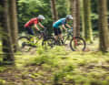 Many mountain bikers only see hardtails as inexpensive beginner bikes. A misconception. Our comparison of six different concepts shows just how versatile bikes with a rigid rear are. But which bike can convince all round?