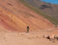 50 Meter vor dem ersten 3000-Meter-Pass des Rennens.